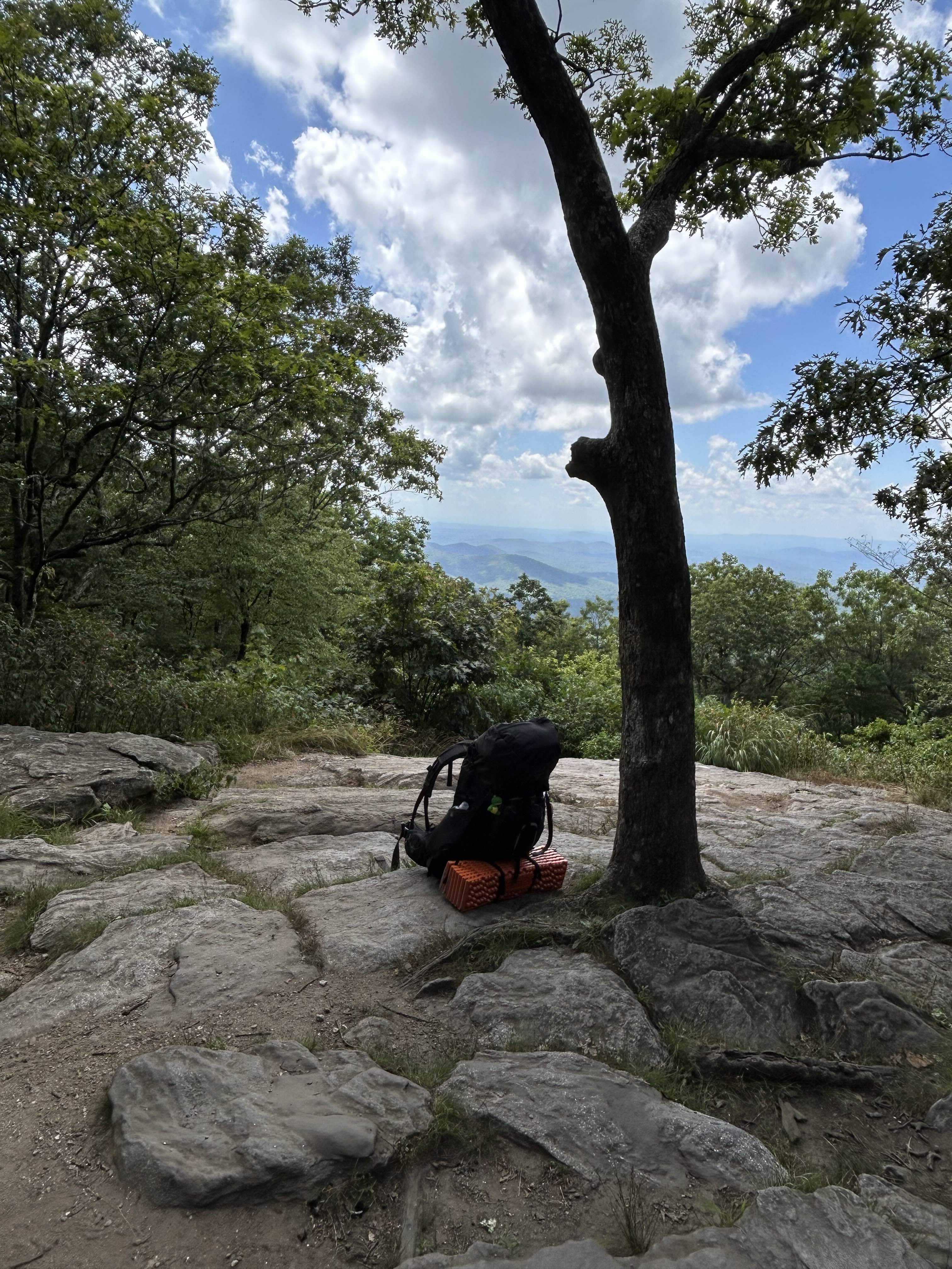 top of springer mountain, the start of the appalachian trail